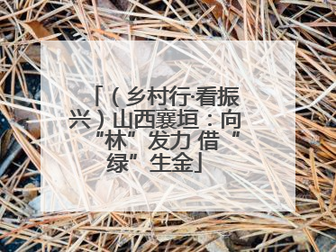 （乡村行·看振兴）山西襄垣：向“林”发力 借“绿”生金