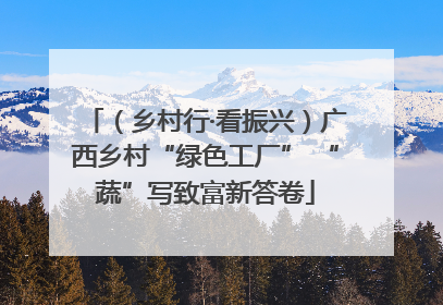 （乡村行·看振兴）广西乡村“绿色工厂” “蔬”写致富新答卷