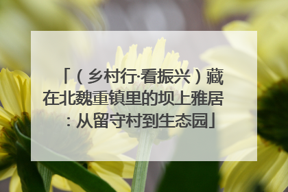 （乡村行·看振兴）藏在北魏重镇里的坝上雅居：从留守村到生态园