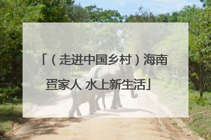 （走进中国乡村）海南疍家人 水上新生活