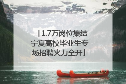 1.7万岗位集结 宁夏高校毕业生专场招聘火力全开