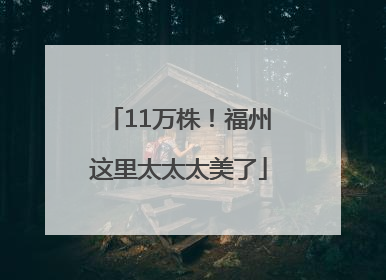 11万株！福州这里太太太美了
