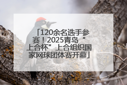 120余名选手参赛！2025青岛“上合杯”上合组织国家网球团体赛开幕