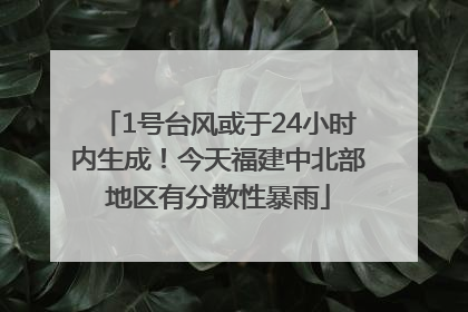 1号台风或于24小时内生成！今天福建中北部地区有分散性暴雨