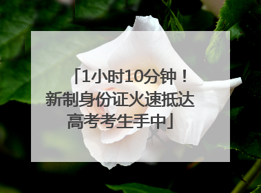 1小时10分钟！新制身份证火速抵达高考考生手中