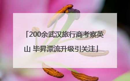 200余武汉旅行商考察英山 毕昇漂流升级引关注