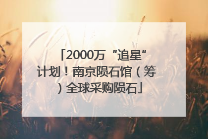 2000万“追星”计划！南京陨石馆（筹）全球采购陨石