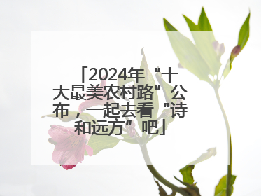 2024年“十大最美农村路”公布，一起去看“诗和远方”吧