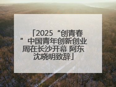 2025“创青春”中国青年创新创业周在长沙开幕 阿东沈晓明致辞