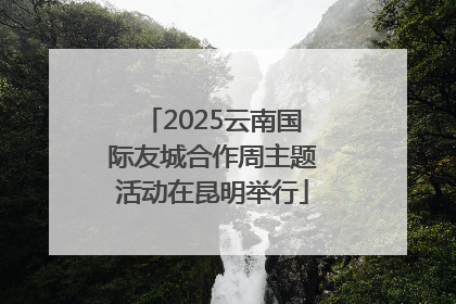 2025云南国际友城合作周主题活动在昆明举行