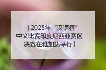 2025年“汉语桥”中文比赛印度尼西亚赛区决赛在雅加达举行