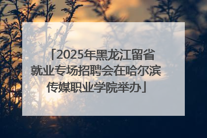 2025年黑龙江留省就业专场招聘会在哈尔滨传媒职业学院举办