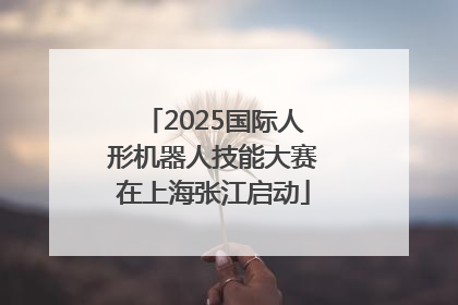 2025国际人形机器人技能大赛在上海张江启动
