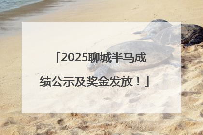 2025聊城半马成绩公示及奖金发放！