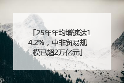 25年年均增速达14.2%，中非贸易规模已超2万亿元