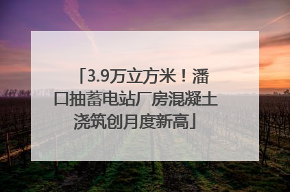 3.9万立方米！潘口抽蓄电站厂房混凝土浇筑创月度新高