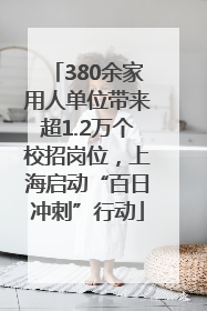 380余家用人单位带来超1.2万个校招岗位，上海启动“百日冲刺”行动