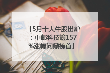 5月十大牛股出炉：中邮科技逾157%涨幅问鼎榜首
