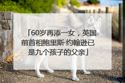 60岁再添一女，英国前首相鲍里斯·约翰逊已是九个孩子的父亲