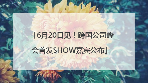 6月20日见！跨国公司峰会首发SHOW嘉宾公布