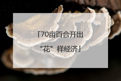 70亩百合开出“花”样经济