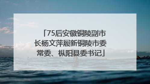 75后安徽铜陵副市长杨文萍履新铜陵市委常委、枞阳县委书记