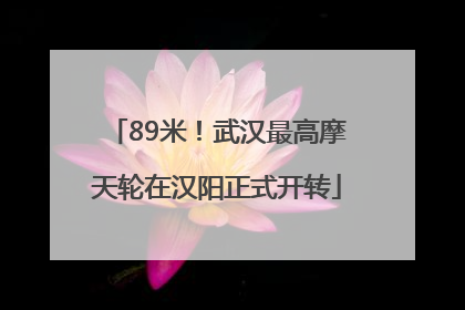89米！武汉最高摩天轮在汉阳正式开转