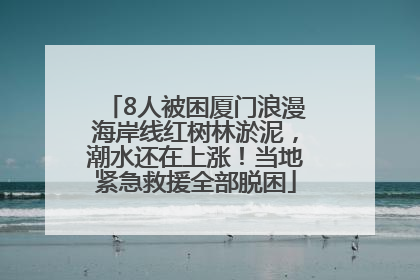 8人被困厦门浪漫海岸线红树林淤泥，潮水还在上涨！当地紧急救援全部脱困