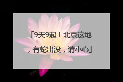 9天9起！北京这地，有蛇出没，请小心