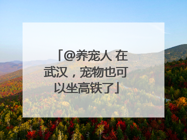 @养宠人 在武汉，宠物也可以坐高铁了