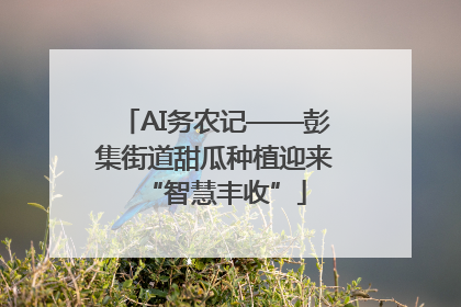 AI务农记——彭集街道甜瓜种植迎来“智慧丰收”
