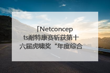 Netconcepts耐特康赛斩获第十六届虎啸奖“年度综合服务商”大奖